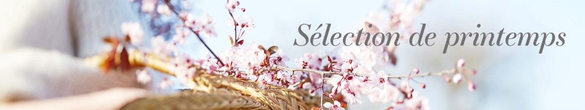 春のお祝い,ギフト,クッキー,フィナンシェ